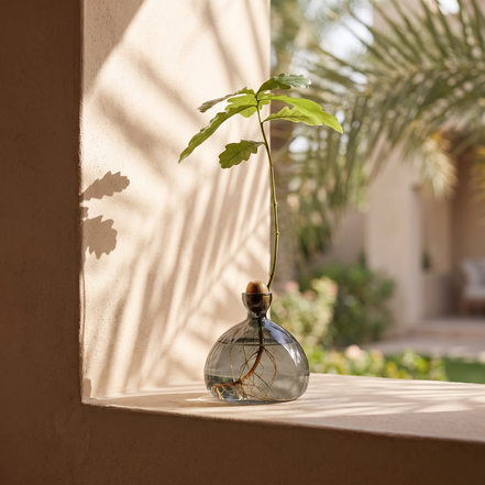 Rain Drop Acorn Vase styled in a sunlit villa interior